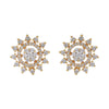Amulya Earring