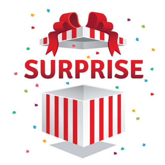 SURPRISE GIFT
