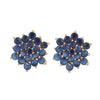 Ruhani Blue Earring Studs