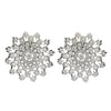 Ruhani Silver Earring Studs