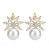 Ruhani Pearls Earring Studs