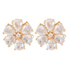 Ruhani Gold Plated Earring Stud