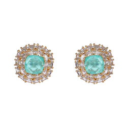Aneet Earring