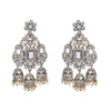Nivedita Earring