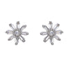 Sparsh 22k Gold Plated Zircon Ear Studs & Drops