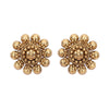22k Gold Plated Aarohai Set