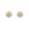 22k Gold Plated Gulnaar Charu Necklace Set