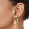 Divyika Necklace Set