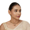 Sarvani Necklace Set