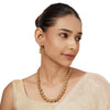 Vaishali Necklace Set