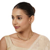 22k Gold Plated Varsha Mrinalini Necklace Set