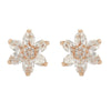 HEERAFLOWER ZIRCON CHOKER SET