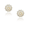 Basant Gold Plated Zircon Iolite Choker Set