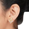 HEERA ZIRCON NECKLACE SET