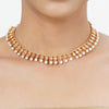 22k Gold Plated Tarini Tanishka Necklace set