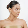 22k Gold Plated Tarini Tanishka Necklace set