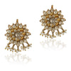 Gold Plated Paachi Choker Set