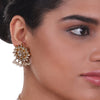 Gold Plated Paachi Choker Set